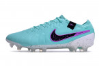 Футбольные бутсы Nike Tiempo Legend 10 Elite FG, 334