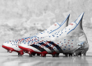Бутсы Adidas Predator Freak+ FG серебряные
