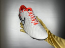 Футбольные бутсы Nike Tiempo Legend 10 Elite FG, 330