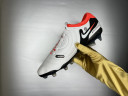 Футбольные бутсы Nike Tiempo Legend 10 Elite FG, 330