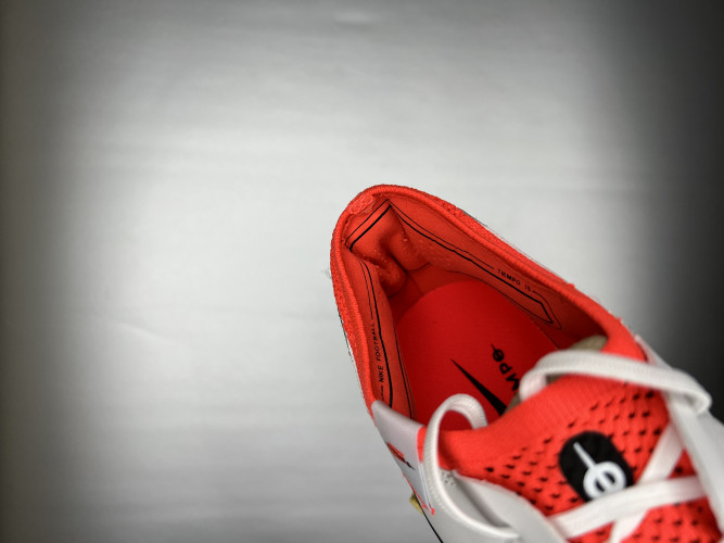 Футбольные бутсы Nike Tiempo Legend 10 Elite FG, 330