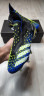 Бутсы — Adidas Predator Freak FG: