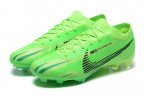 Футбольные бутсы Nike Mercurial Vapor 15 Air Zoom Elite FG, 391