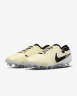 Футбольные бутсы Nike Tiempo Legend 10 Elite FG, 331