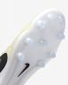 Футбольные бутсы Nike Tiempo Legend 10 Elite FG, 331